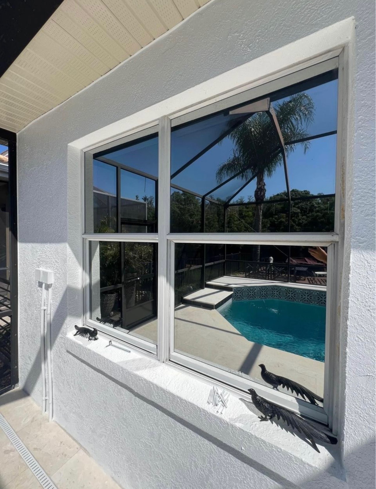 Pool Enclosure Windows